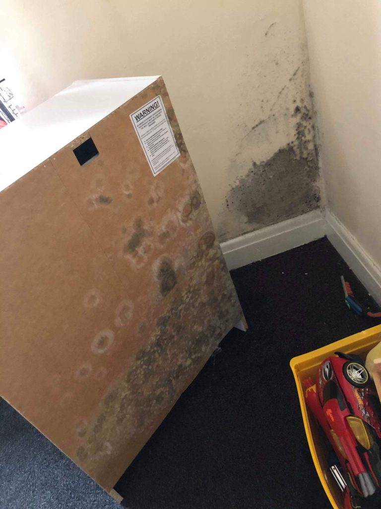 Damp Contractor vs Independent Damp